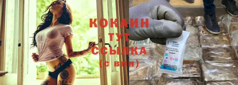 Cocaine Эквадор  где продают   Сланцы 