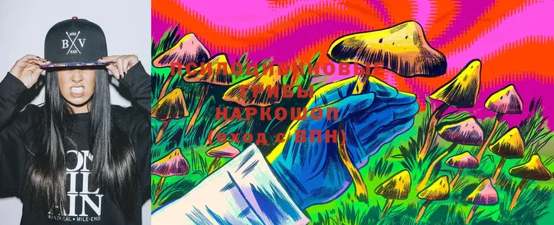 Галлюциногенные грибы MAGIC MUSHROOMS  дарк нет официальный сайт  Сланцы  купить закладку 